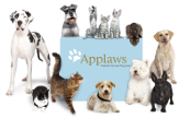 Avaleht ApplawsDogCatComposition