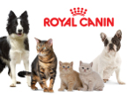 Avaleht Royal20canin3 091608